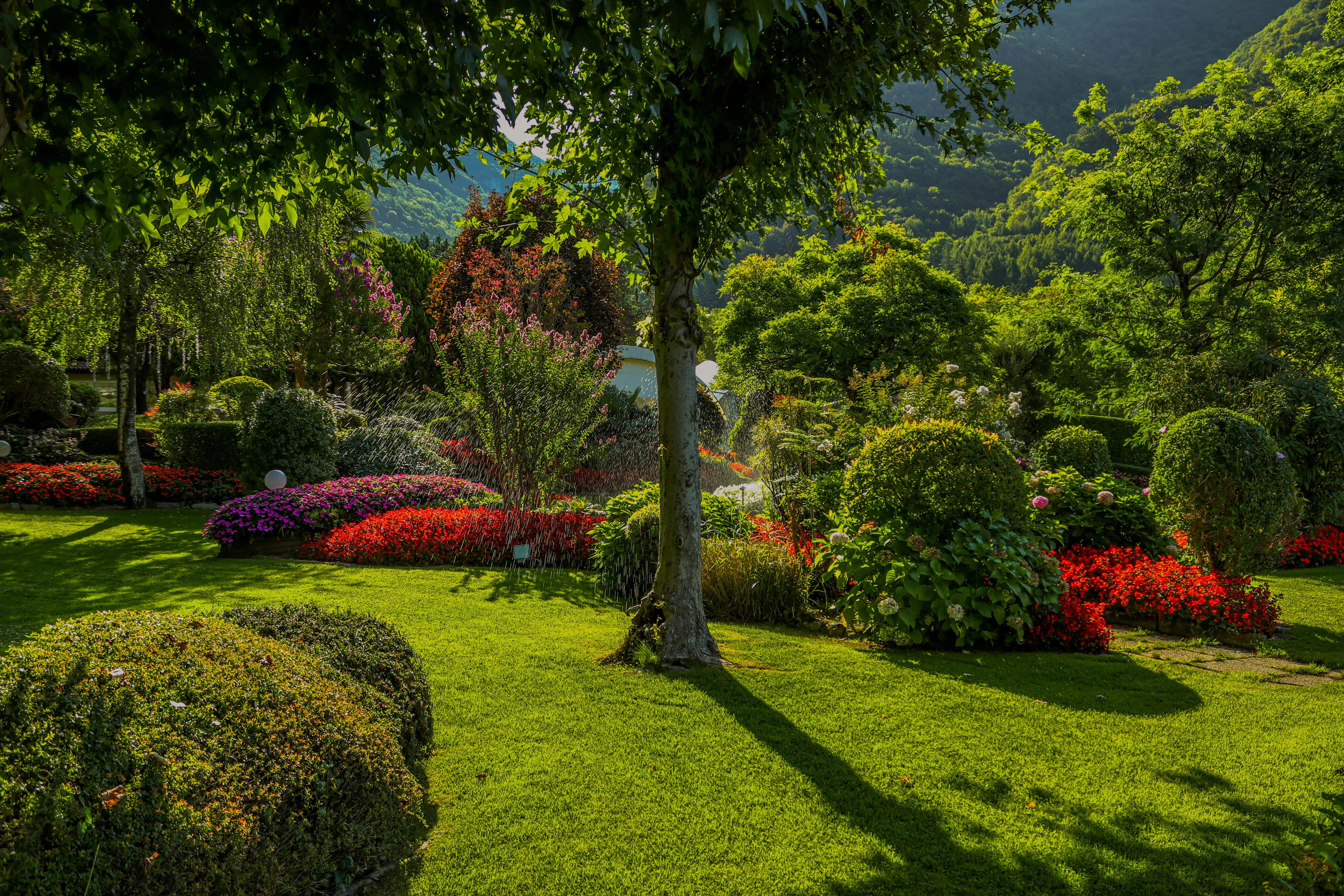 Garten